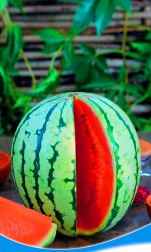 Арбуз КРАСНАЯ ЗВЕЗДА