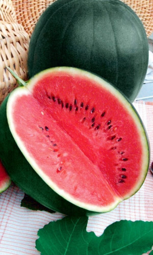 Арбуз СИБИРСКИЕ ОГНИ