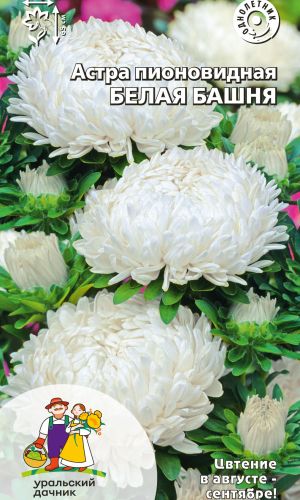 Астра БЕЛАЯ БАШНЯ