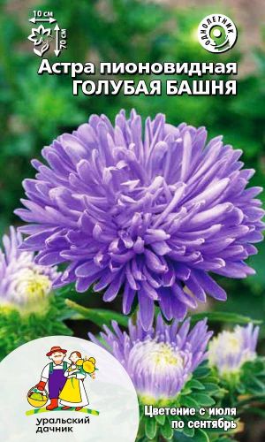 Астра ГОЛУБАЯ БАШНЯ