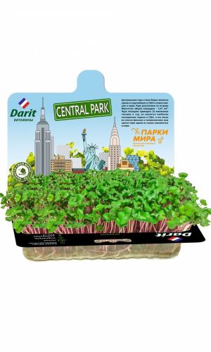 DARIT (ДАРИТ) НАБОР ИНДАУ