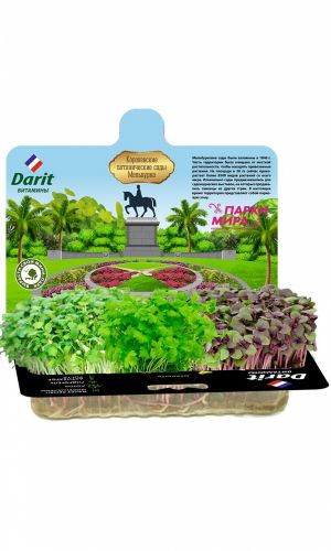 DARIT (ДАРИТ) НАБОР СЕЛЬДЕРЕЙ, БАЗИЛИК, КОРИАНДР