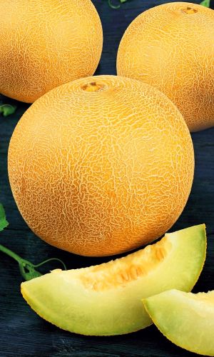 Дыня НАТАЛЬИНА