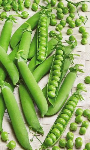 Горох ДЕТСКАЯ РАДОСТЬ