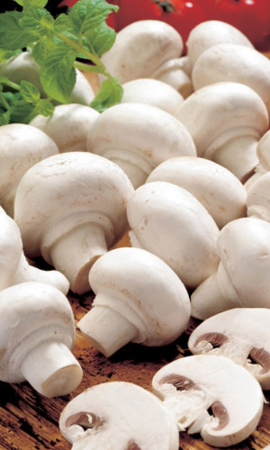 Грибы ШАМПИНЬОН МИНДАЛЬНЫЙ