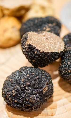 Грибы ТРЮФЕЛЬ ЛЕТНИЙ ЧЁРНЫЙ