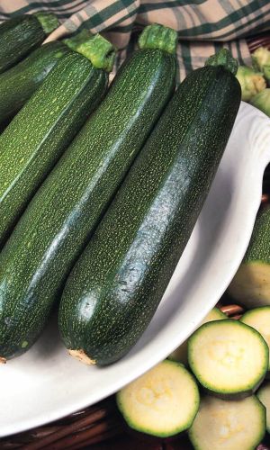 Кабачок цуккини АЭРОНАВТ