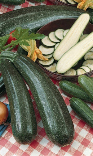 Кабачок УГОЛЁК