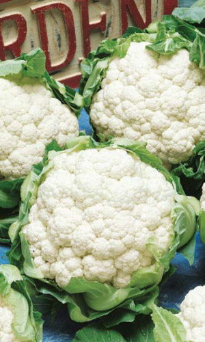 Капуста цветная МАЛИМБА F1