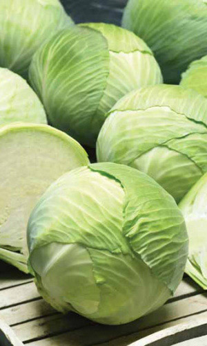 Капуста ВАЛЕНТИНА F1