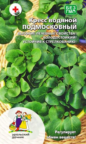 Кресс водяной ПОДМОСКОВНЫЙ &mdash; Регулирует обмен веществ! Высокие лечебные свойства! Холодостойкий! Устойчив к стрелкованию!