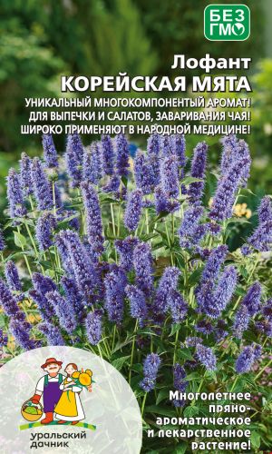 Лофант КОРЕЙСКАЯ МЯТА