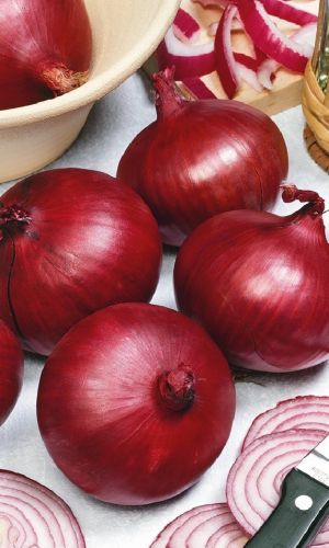 Лук репчатый РЕД БАРОН