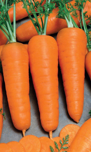 Морковь КОРЕЙСКАЯ ЗАКУСКА