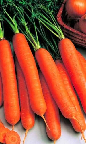 Морковь ОРАНЖЕВЫЙ МЁД