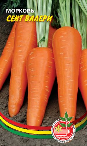 Морковь СЕНТ ВАЛЕРИ &mdash; Мякоть сочная, хрустящая! Вкусовые качества отличные! Хранится великолепно!