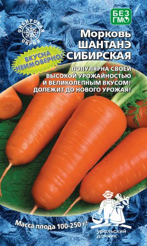 Морковь ШАНТАНЭ СИБИРСКАЯ