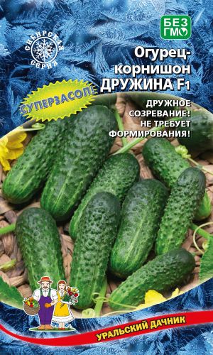 Огурец ДРУЖИНА F1 &mdash; Дружное созревание! Не требует формирования! Суперзасол!