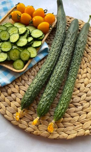 Огурец КИТАЙСКИЙ ДРАКОН F1