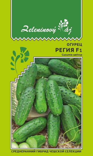 Огурец РЕГИЯ F1 &mdash; Среднеранний гибрид чешской селекции!
