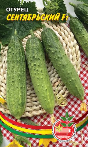 Огурец СЕНТЯБРЬСКИЙ F1