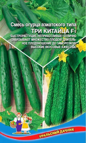 Огурец ТРИ КИТАЙЦА F1 &mdash; Cмесь азиатских огурцов! Быстрый рост! Множество плодов на растении! Плодоносит до заморозков! Вкус – отличный!