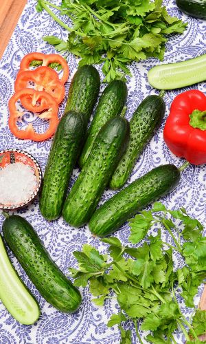 Огурец ВЫСОТКА &mdash; Зеленцы долго не перерастают! Без пустот! Вкус отличный, без горечи! Хрустящие! Идеален для засолки и консервирования!