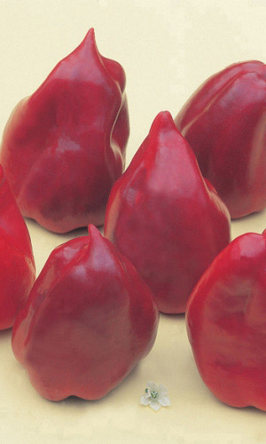 Перец ФЛАМИНГО