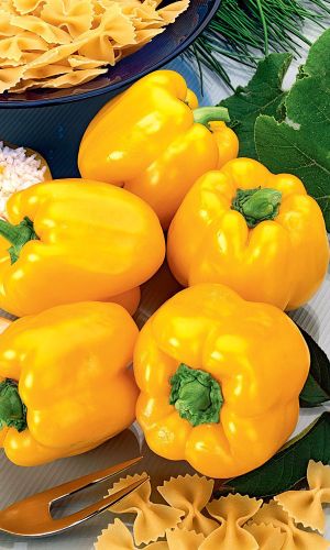 Перец ГИГАНТ ЗОЛОТОЙ F1