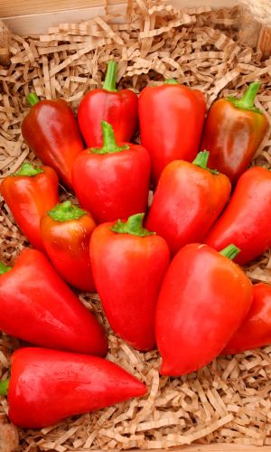 Перец КУРАЖ