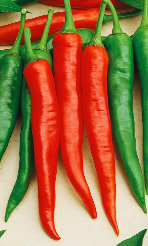 Перец острый ЯЗЫК ДРАКОНА