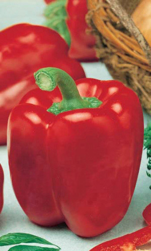 Перец СИБИРСКИЙ ВАЛЕНОК F1