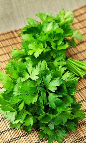 Петрушка листовая БЫСТРООТРАСТАЮЩАЯ (ГЕЛЬ ДРАЖЕ)