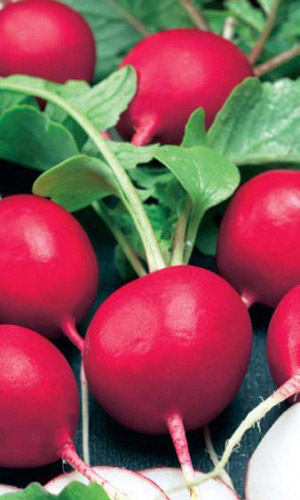 Редис ЧЕМПИОН