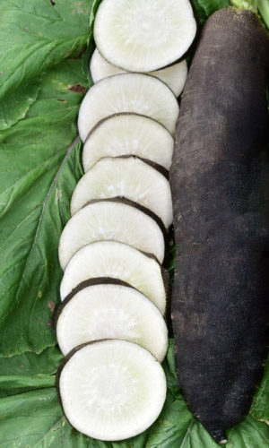 Репа ЖЖЕНЫЙ САХАР