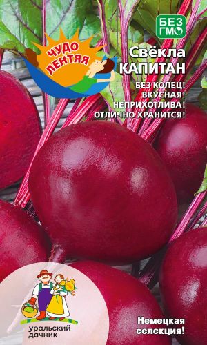 Свёкла КАПИТАН &mdash; Немецкая селекция! Чудо для лентяев! Без колец! Вкусная! Неприхотлива! Отлично хранится!