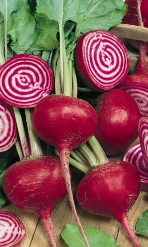 Свёкла КУБАНСКАЯ БОРЩЕВАЯ 43