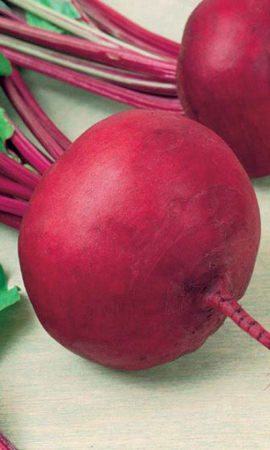 Свёкла НЕСРАВНЕННАЯ А463