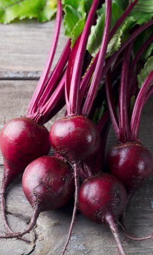 Свёкла РАФИНАД F1