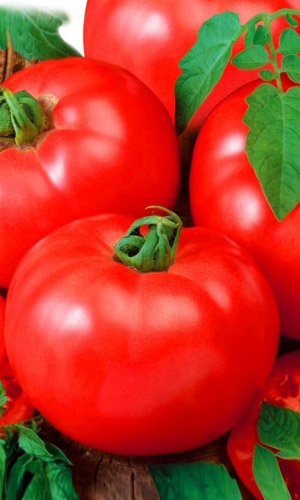 Томат АЛТАЙСКИЙ КРАСНЫЙ — Плоды настоящие великаны! Невиданная урожайность! Отменный вкус!