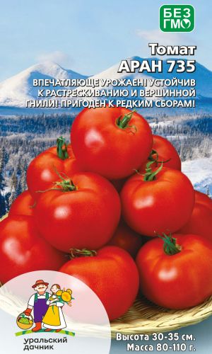 Томат АРАН 735 &mdash; Устойчив к растрескиванию и вершинной гнили! Пригоден к редким сборам! Впечатляюще урожаен!