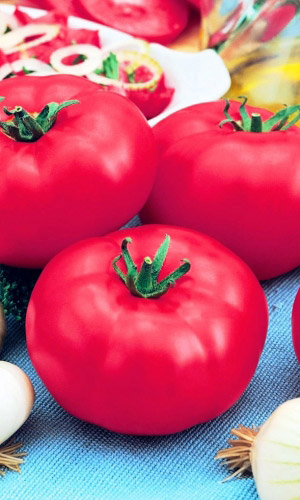 Томат БАКИНСКИЕ 622