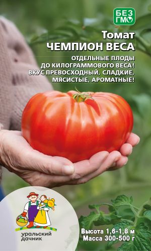 Томат ЧЕМПИОН ВЕСА &mdash; Отдельные плоды до килограммового веса! Вкус превосходный, сладкие, мясистые, ароматные!