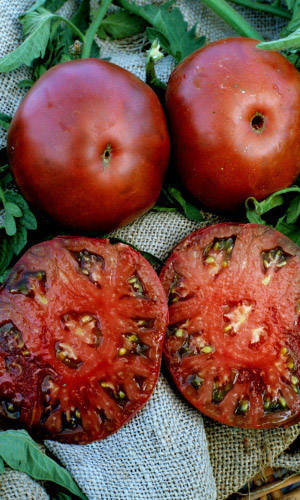 Томат ЧЁРНЫЙ ПРИНЦ &mdash; Десертный сорт! Салатный крупноплодный сорт! настоящее искушение вкусом! Устойчив к болезням!