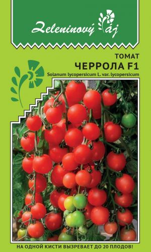 Томат ЧЕРРОЛА F1 &mdash; На каждой кисти вызревает до 20 плодов!
