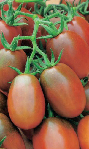 Томат ДЕ БАРАО ЧЕРНЫЙ &mdash; Тающий во рту!