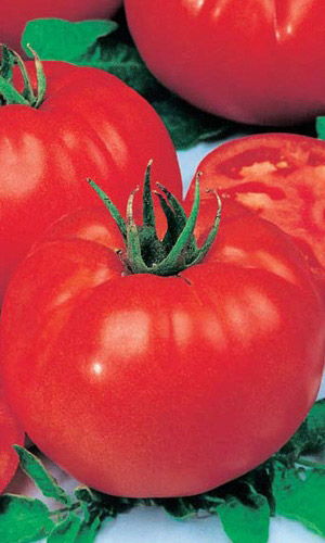 Томат КОРОЛЬ ГИГАНТОВ