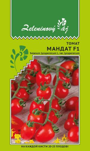 Томат МАНДАТ F1 &mdash; На каждой кисти 20-25 плодов!