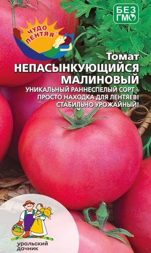 Томат НЕПАСЫНКУЮЩИЙСЯ МАЛИНОВЫЙ &mdash; Прост в уходе, не пасынкуется! Устойчив к погодным стрессам! Высочайшая завязываемость плодов в любую погоду!