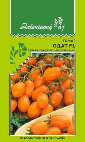 Томат ОДАТ F1 &mdash; На каждой кисти 20-25 плодов!